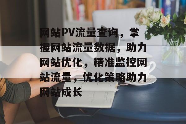 网站PV流量查询，掌握网站流量数据，助力网站优化，精准监控网站流量，优化策略助力网站成长