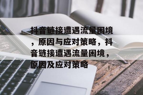 抖音链接遭遇流量困境，原因与应对策略，抖音链接遭遇流量困境，原因及应对策略