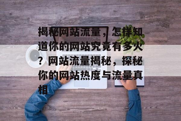 揭秘网站流量，怎样知道你的网站究竟有多火？网站流量揭秘，探秘你的网站热度与流量真相