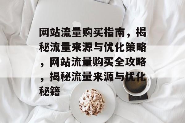 网站流量购买指南，揭秘流量来源与优化策略，网站流量购买全攻略，揭秘流量来源与优化秘籍