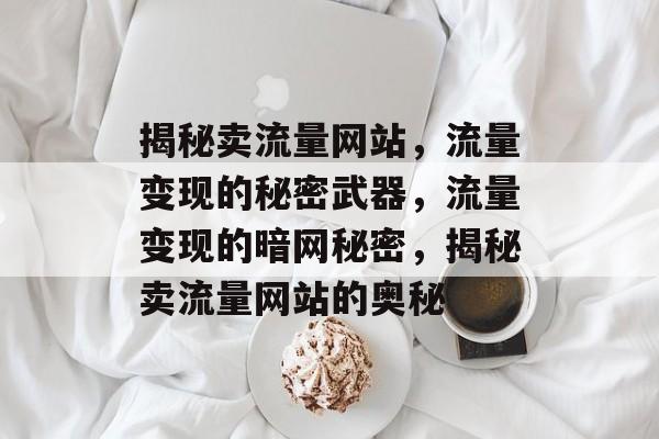 揭秘卖流量网站，流量变现的秘密武器，流量变现的暗网秘密，揭秘卖流量网站的奥秘
