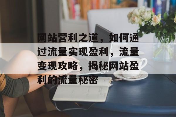 网站营利之道，如何通过流量实现盈利，流量变现攻略，揭秘网站盈利的流量秘密