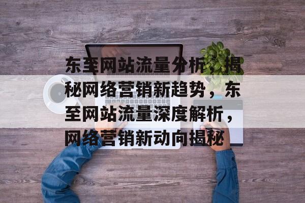 东至网站流量分析，揭秘网络营销新趋势，东至网站流量深度解析，网络营销新动向揭秘