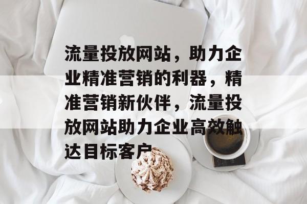 流量投放网站，助力企业精准营销的利器，精准营销新伙伴，流量投放网站助力企业高效触达目标客户