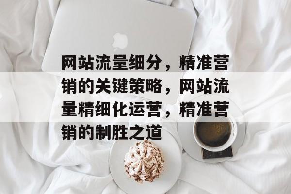 网站流量细分，精准营销的关键策略，网站流量精细化运营，精准营销的制胜之道