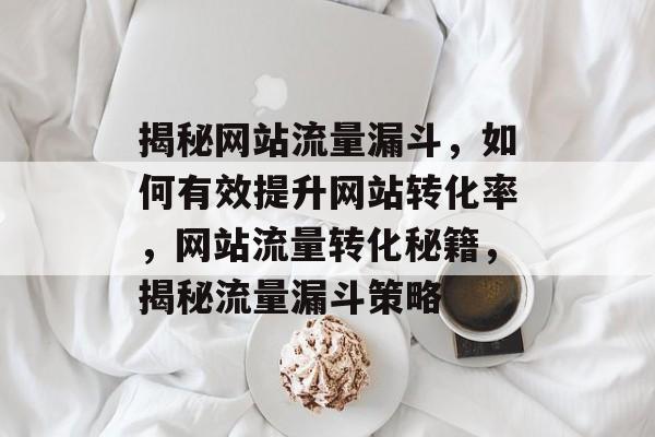 揭秘网站流量漏斗，如何有效提升网站转化率，网站流量转化秘籍，揭秘流量漏斗策略