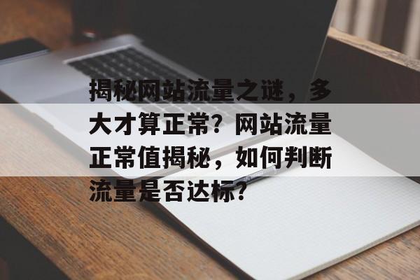 揭秘网站流量之谜，多大才算正常？网站流量正常值揭秘，如何判断流量是否达标？