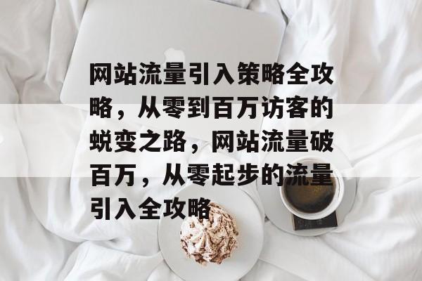 网站流量引入策略全攻略，从零到百万访客的蜕变之路，网站流量破百万，从零起步的流量引入全攻略