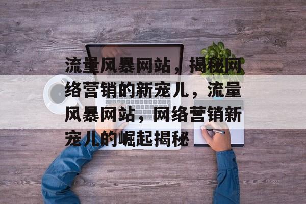 流量风暴网站，揭秘网络营销的新宠儿，流量风暴网站，网络营销新宠儿的崛起揭秘