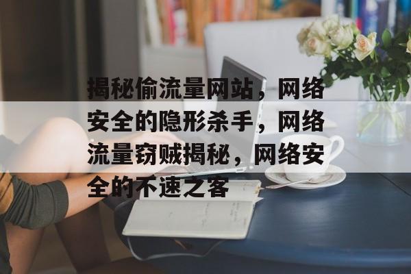 揭秘偷流量网站，网络安全的隐形杀手，网络流量窃贼揭秘，网络安全的不速之客