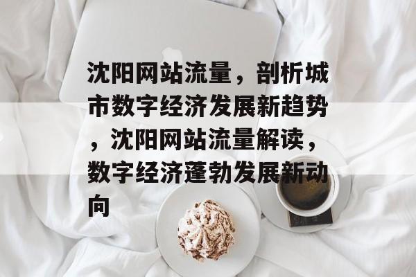 沈阳网站流量，剖析城市数字经济发展新趋势，沈阳网站流量解读，数字经济蓬勃发展新动向