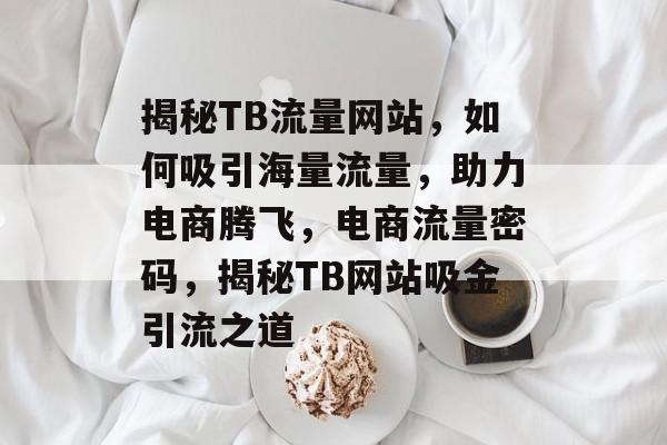 揭秘TB流量网站，如何吸引海量流量，助力电商腾飞，电商流量密码，揭秘TB网站吸金引流之道