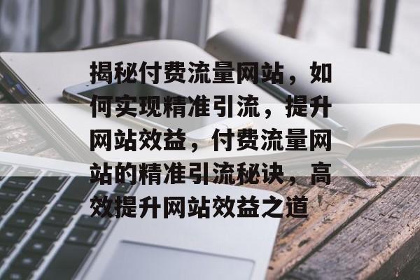 揭秘付费流量网站，如何实现精准引流，提升网站效益，付费流量网站的精准引流秘诀，高效提升网站效益之道