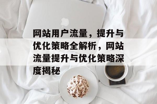 网站用户流量，提升与优化策略全解析，网站流量提升与优化策略深度揭秘