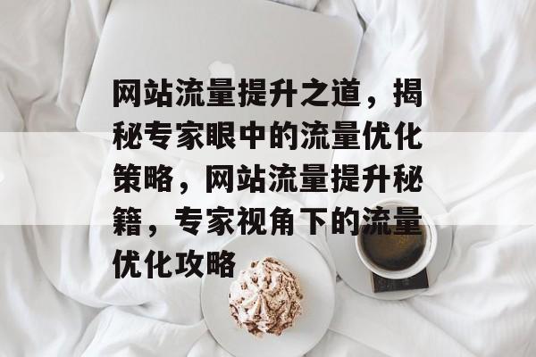 网站流量提升之道，揭秘专家眼中的流量优化策略，网站流量提升秘籍，专家视角下的流量优化攻略