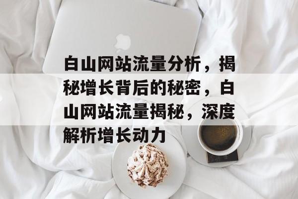 白山网站流量分析，揭秘增长背后的秘密，白山网站流量揭秘，深度解析增长动力