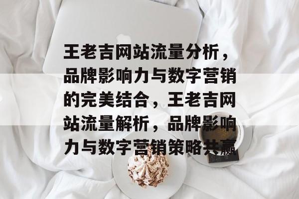 王老吉网站流量分析，品牌影响力与数字营销的完美结合，王老吉网站流量解析，品牌影响力与数字营销策略共赢