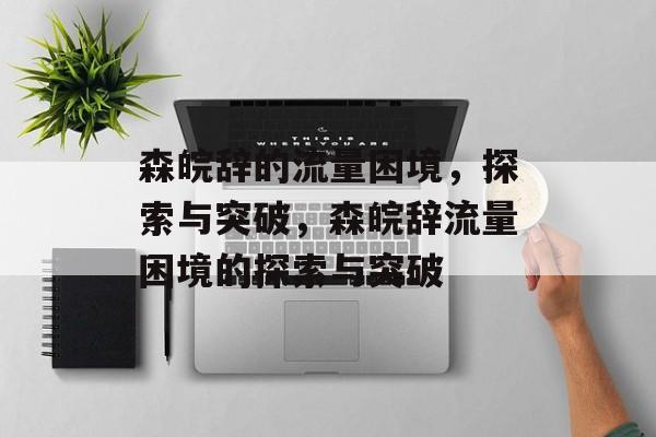 森皖辞的流量困境，探索与突破，森皖辞流量困境的探索与突破