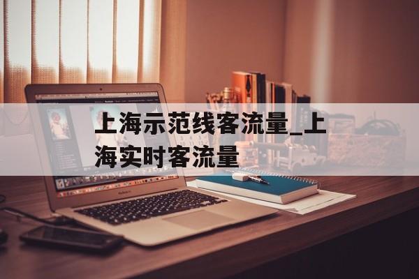 上海示范线客流量_上海实时客流量