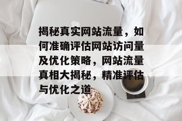 揭秘真实网站流量，如何准确评估网站访问量及优化策略，网站流量真相大揭秘，精准评估与优化之道