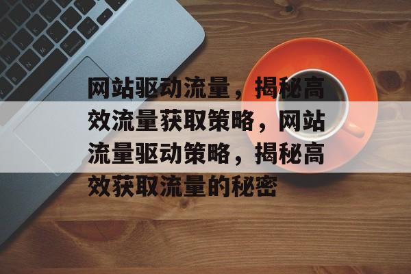 网站驱动流量，揭秘高效流量获取策略，网站流量驱动策略，揭秘高效获取流量的秘密