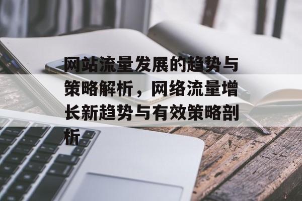 网站流量发展的趋势与策略解析，网络流量增长新趋势与有效策略剖析