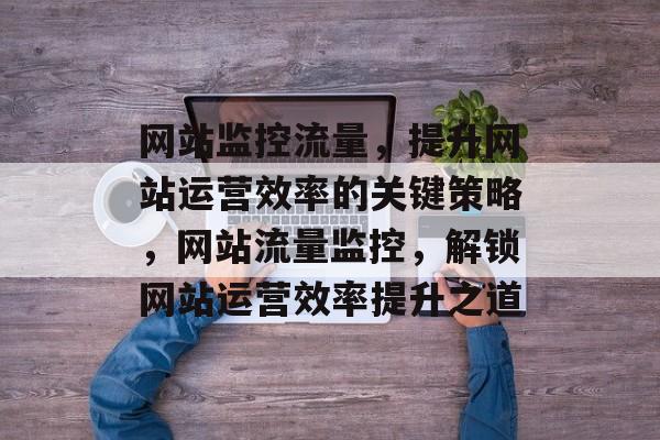 网站监控流量，提升网站运营效率的关键策略，网站流量监控，解锁网站运营效率提升之道