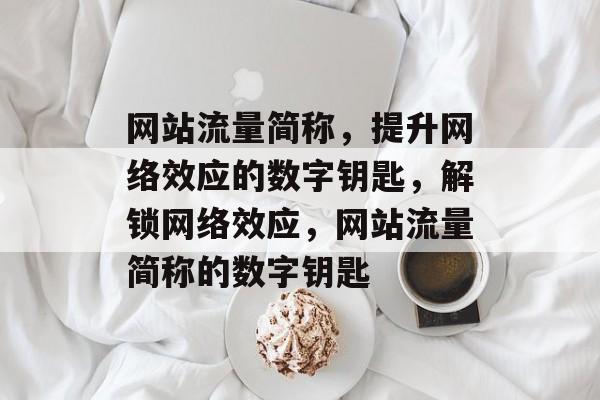 网站流量简称，提升网络效应的数字钥匙，解锁网络效应，网站流量简称的数字钥匙
