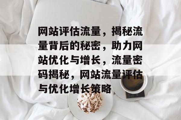 网站评估流量，揭秘流量背后的秘密，助力网站优化与增长，流量密码揭秘，网站流量评估与优化增长策略