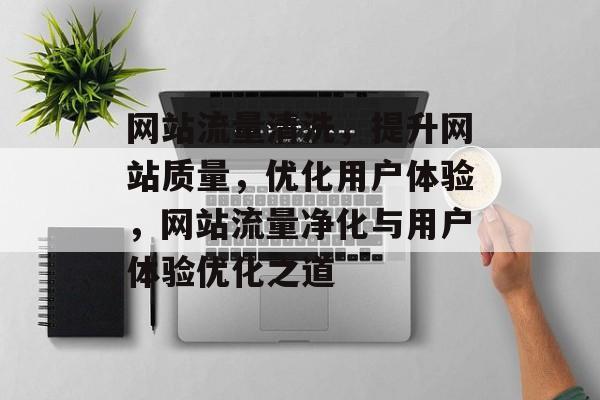 网站流量清洗，提升网站质量，优化用户体验，网站流量净化与用户体验优化之道