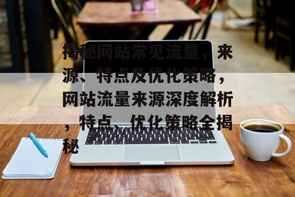 揭秘网站常见流量，来源、特点及优化策略，网站流量来源深度解析，特点、优化策略全揭秘