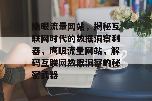 鹰眼流量网站，揭秘互联网时代的数据洞察利器，鹰眼流量网站，解码互联网数据洞察的秘密武器