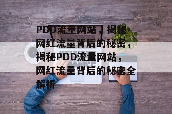 PDD流量网站，揭秘网红流量背后的秘密，揭秘PDD流量网站，网红流量背后的秘密全解析