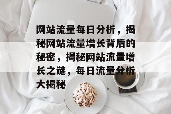 网站流量每日分析，揭秘网站流量增长背后的秘密，揭秘网站流量增长之谜，每日流量分析大揭秘