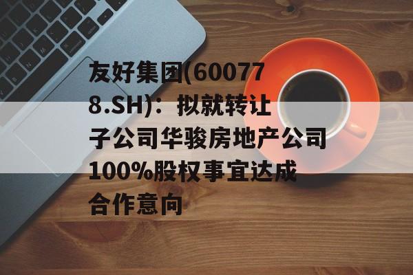 友好集团(600778.SH)：拟就转让子公司华骏房地产公司100%股权事宜达成合作意向