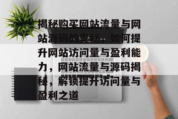 揭秘购买网站流量与网站源码的奥秘，如何提升网站访问量与盈利能力，网站流量与源码揭秘，解锁提升访问量与盈利之道