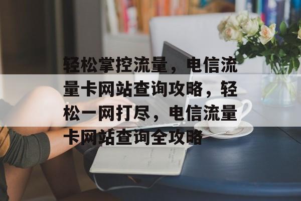 轻松掌控流量，电信流量卡网站查询攻略，轻松一网打尽，电信流量卡网站查询全攻略