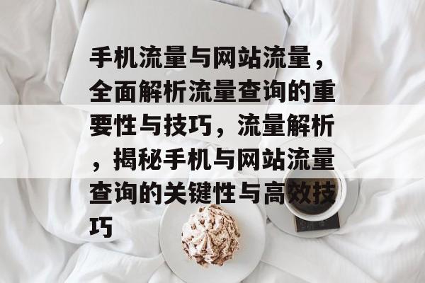 手机流量与网站流量，全面解析流量查询的重要性与技巧，流量解析，揭秘手机与网站流量查询的关键性与高效技巧