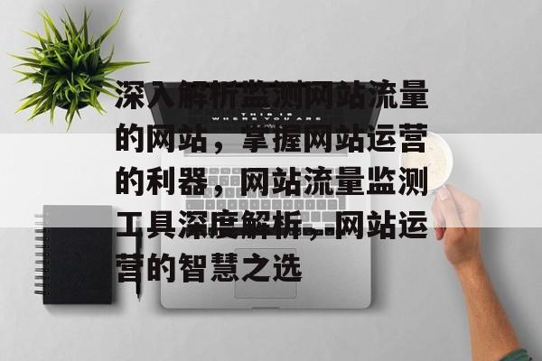 深入解析监测网站流量的网站，掌握网站运营的利器，网站流量监测工具深度解析，网站运营的智慧之选