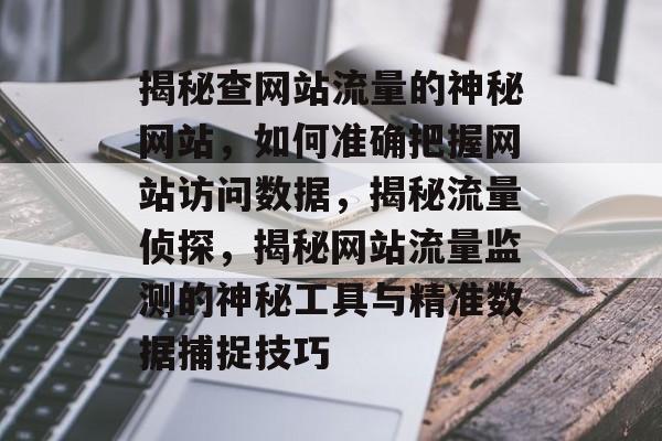 揭秘查网站流量的神秘网站，如何准确把握网站访问数据，揭秘流量侦探，揭秘网站流量监测的神秘工具与精准数据捕捉技巧