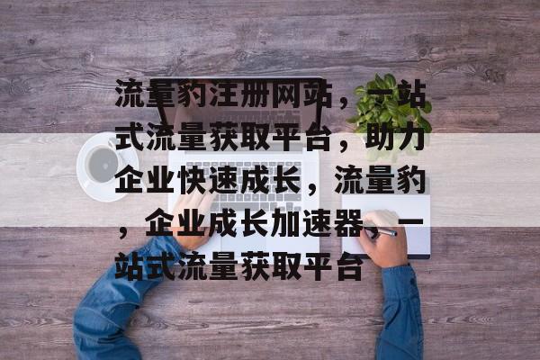 流量豹注册网站，一站式流量获取平台，助力企业快速成长，流量豹，企业成长加速器，一站式流量获取平台