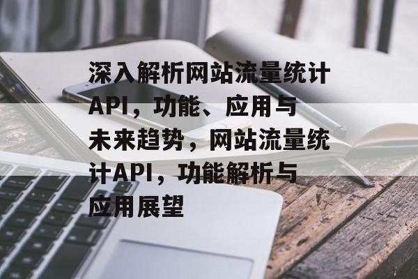 深入解析网站流量统计API，功能、应用与未来趋势，网站流量统计API，功能解析与应用展望