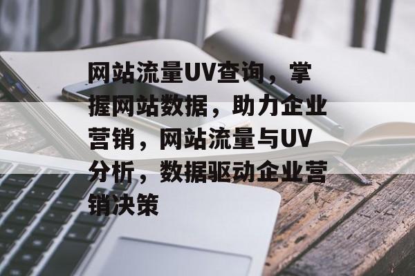 网站流量UV查询，掌握网站数据，助力企业营销，网站流量与UV分析，数据驱动企业营销决策