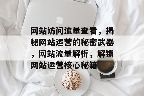网站访问流量查看，揭秘网站运营的秘密武器，网站流量解析，解锁网站运营核心秘籍