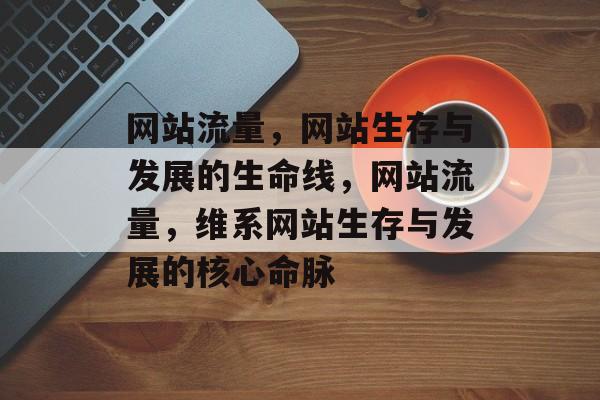 网站流量，网站生存与发展的生命线，网站流量，维系网站生存与发展的核心命脉
