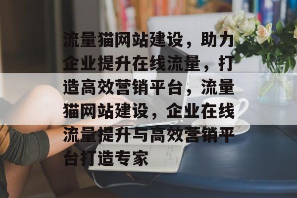 流量猫网站建设，助力企业提升在线流量，打造高效营销平台，流量猫网站建设，企业在线流量提升与高效营销平台打造专家