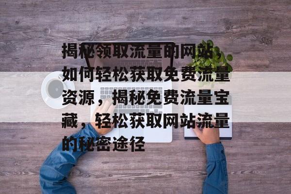 揭秘领取流量的网站，如何轻松获取免费流量资源，揭秘免费流量宝藏，轻松获取网站流量的秘密途径