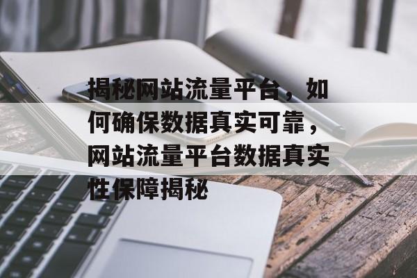 揭秘网站流量平台，如何确保数据真实可靠，网站流量平台数据真实性保障揭秘