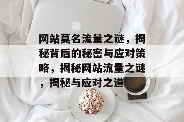 网站莫名流量之谜，揭秘背后的秘密与应对策略，揭秘网站流量之谜，揭秘与应对之道