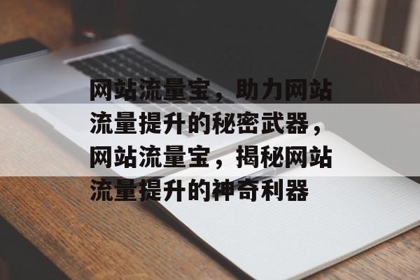 网站流量宝，助力网站流量提升的秘密武器，网站流量宝，揭秘网站流量提升的神奇利器